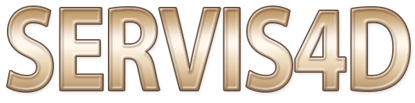 SERVIS4D Logo